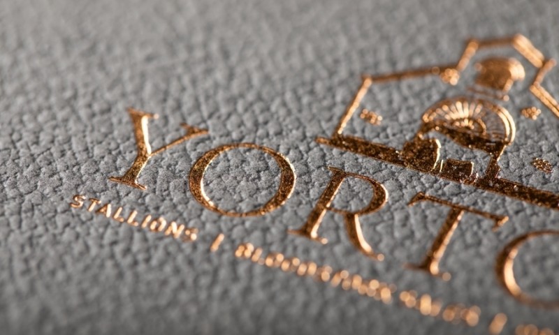 Yorton Brochure by Giant Creative